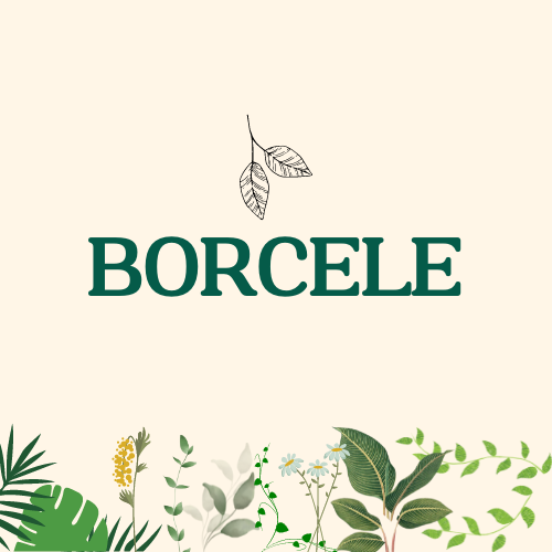 borcele decoração